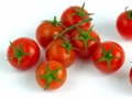 Tomates cereza