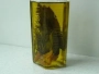 aceite de oliva con hierbas