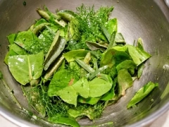 Ensalada de hierbas