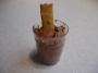 mousse de chocolate