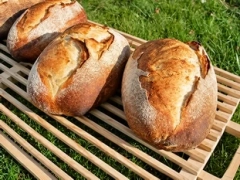 Pan de masa madre
