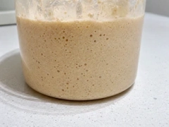 Masa madre o Fermento natural