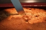 [¿Cómo saber si un bizcocho está bien cocido?]