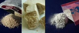 Levaduras y masa madre