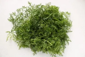 ¿Le quito las tapas?