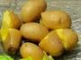 patatas cocidas