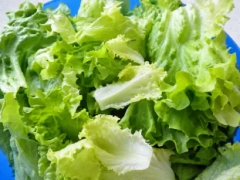 Como preparar una lechuga